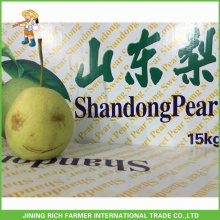 Top Quality Chinese Fresh Shandong Pear